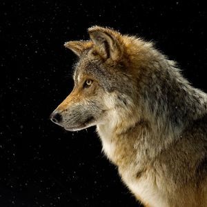 Meet your Posher, Becky